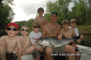 Striped Bass Fishing in Roanoke River